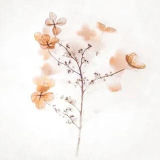 1690872832843543.jpg 1.jpg